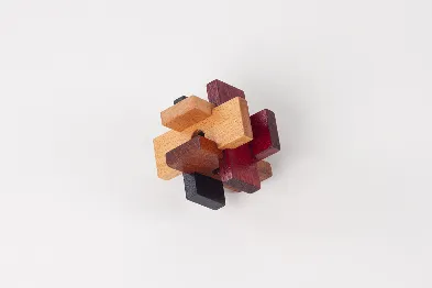 Brain Puzzles (Set of 6)